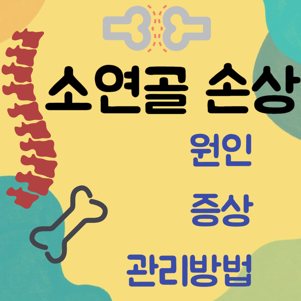소연골 손상 원인, 증상, 관리방법