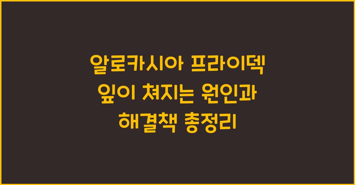 알로카시아 프라이덱 잎이 쳐지는 원인과 해결책