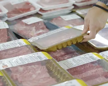 횡성 한우축제_17