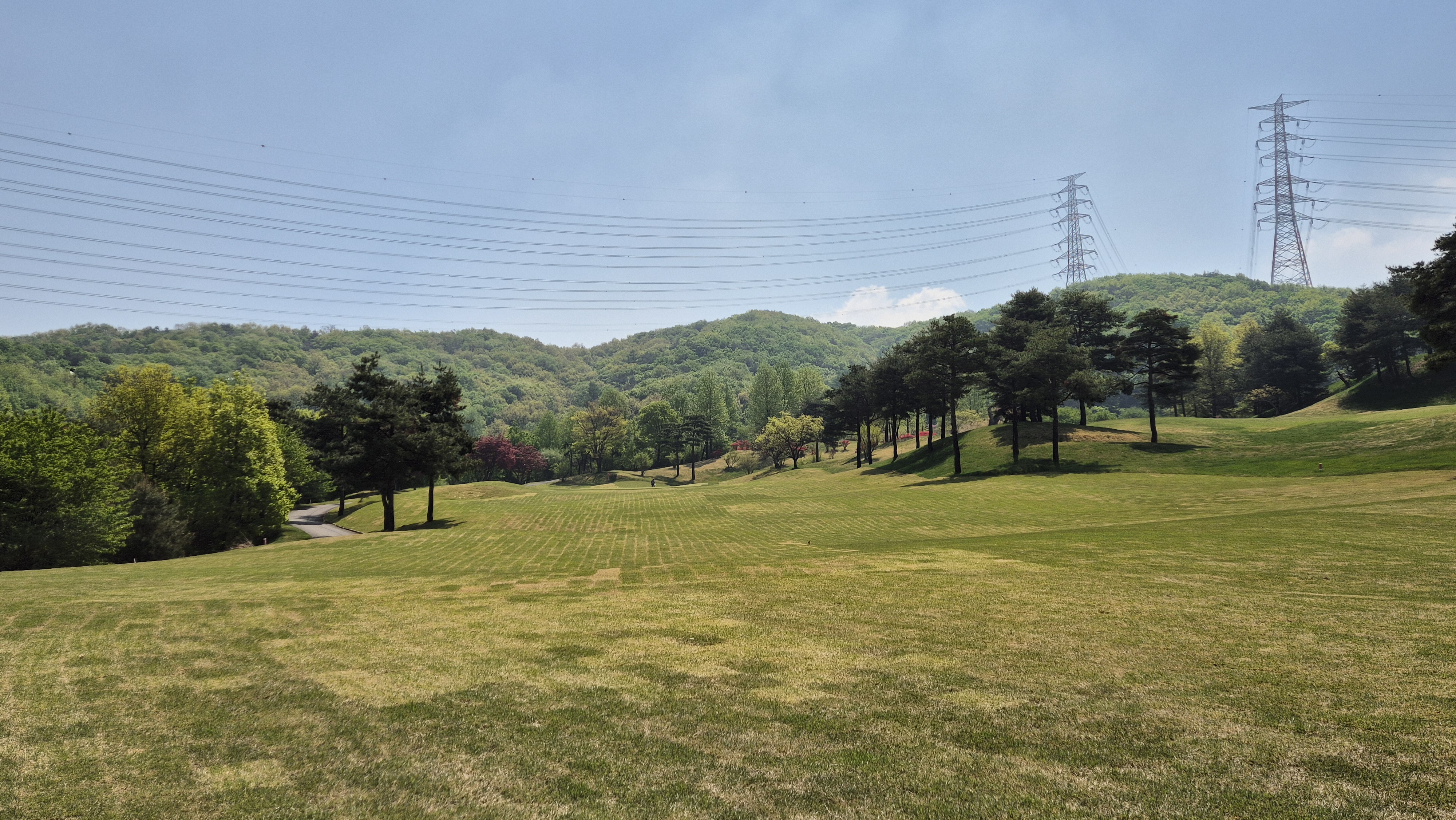 마에스트로cc 코스