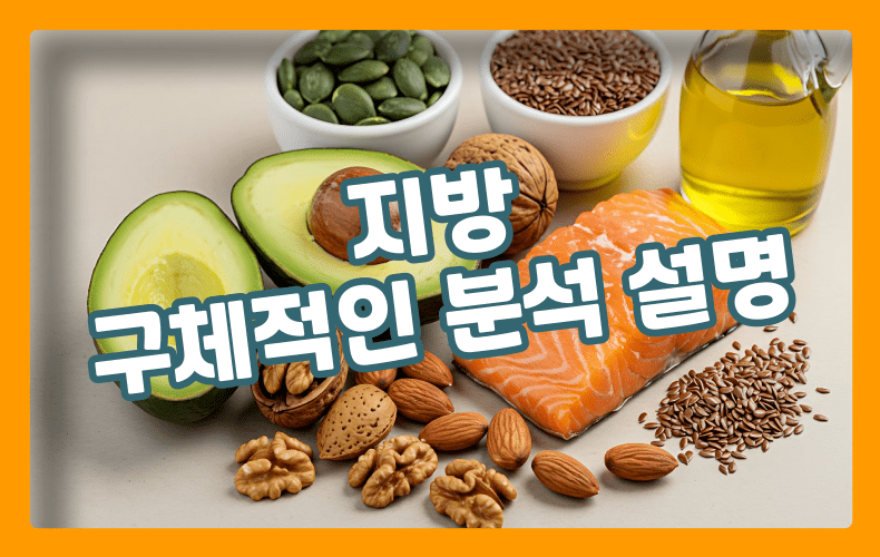 건강한 지방 음식 표현