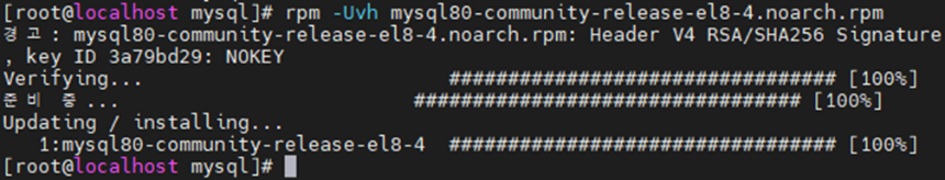 Repository RPM 패키지 설치 화면