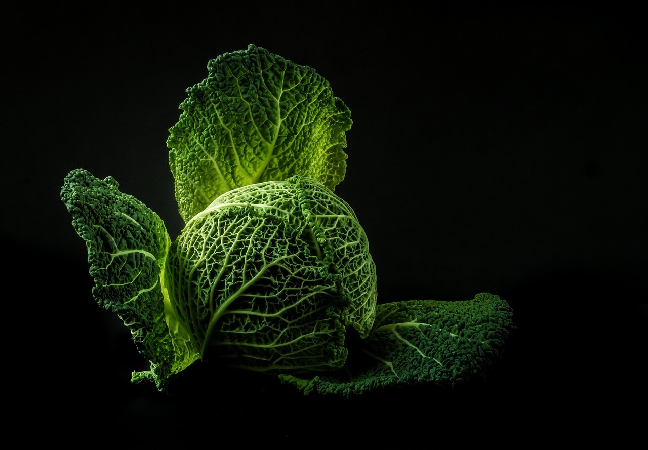 50대 여성 건강식품