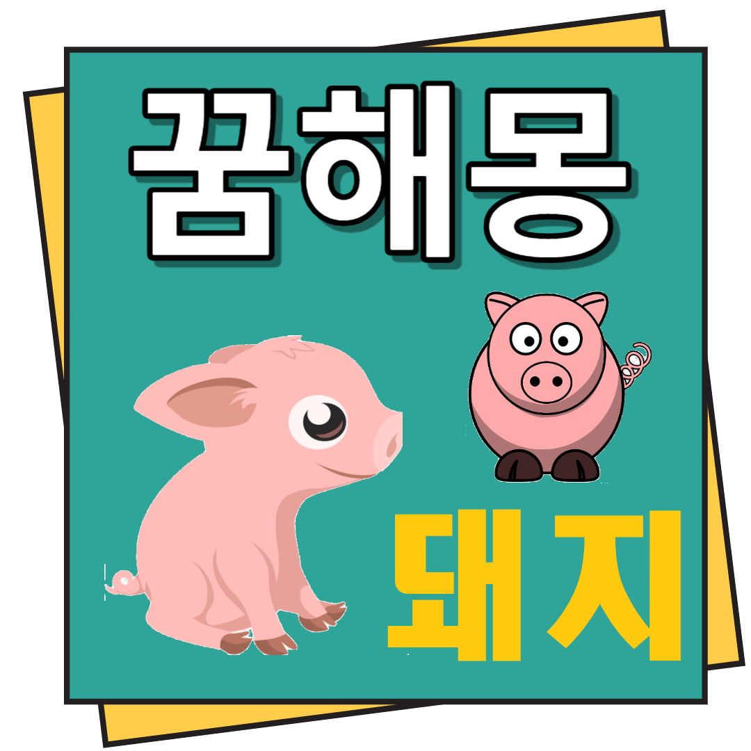 돼지 꿈해몽