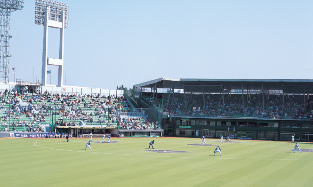스포츠 경기 관람 할인