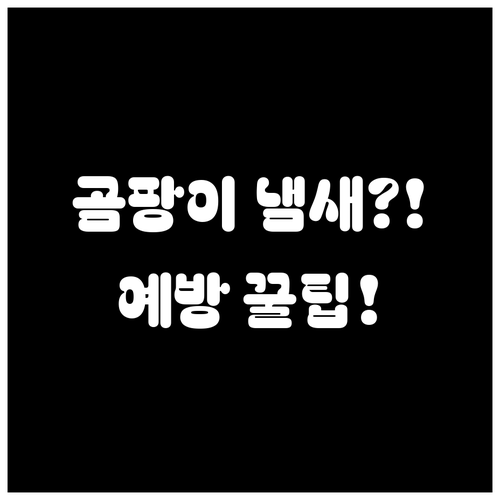 장마철 옷장 곰팡이와 냄새 제거부터 ..
