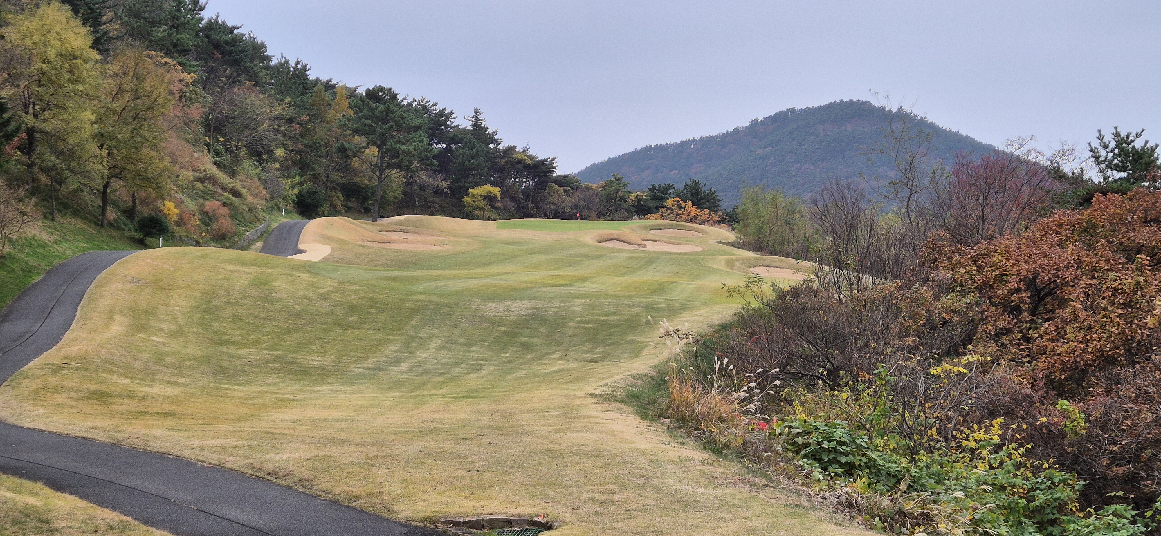 골든베이cc 오션 코스 사진 및 공략 정보