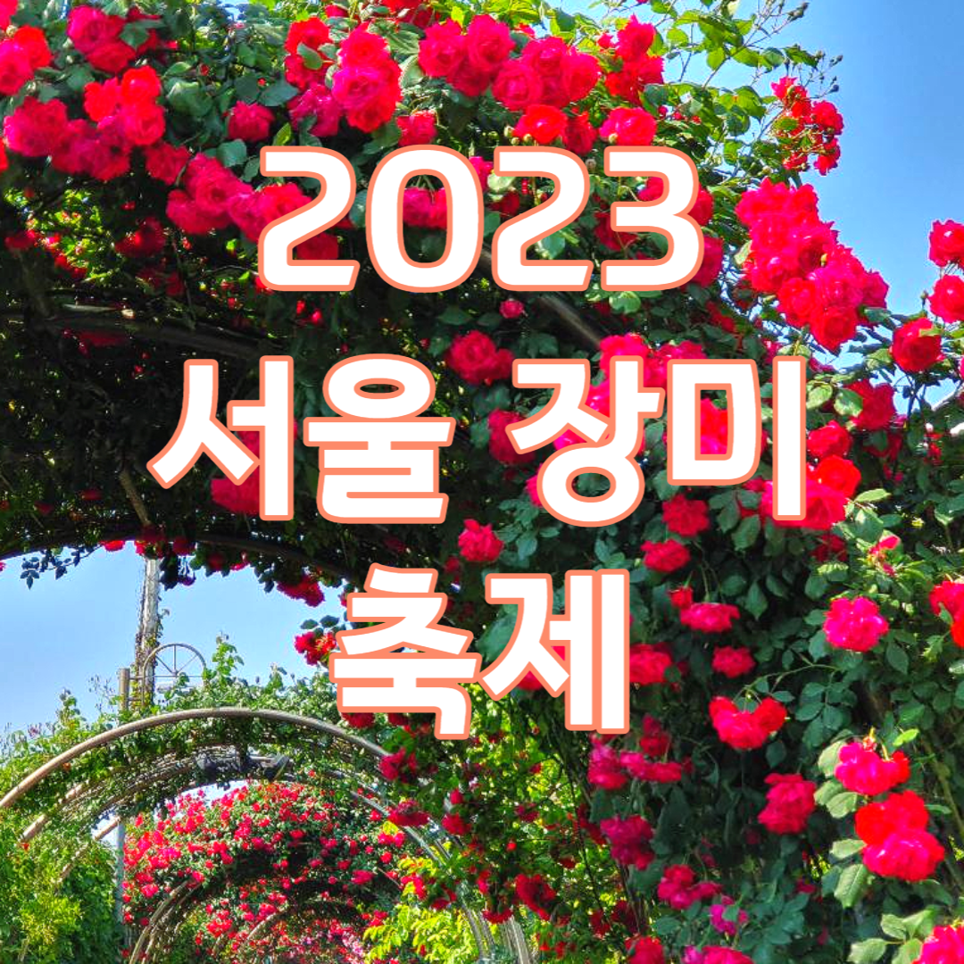 2023 서울 장미축제