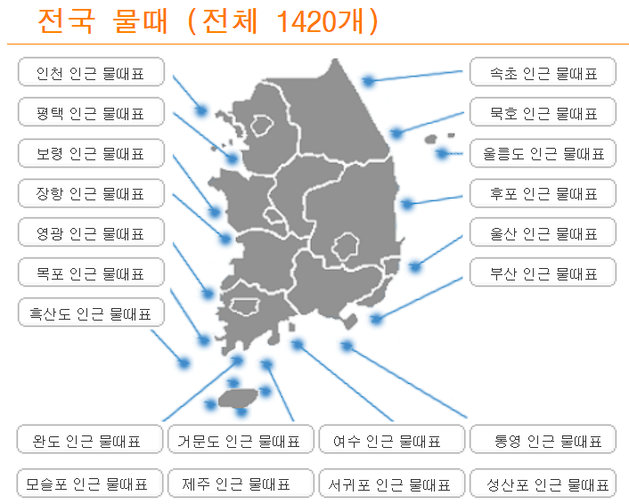 전국 물때 지도