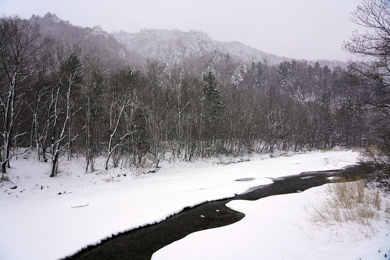 수미마을 양평빙송어축제
