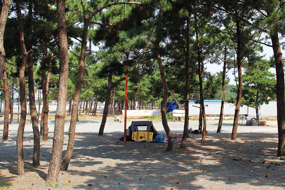 어은돌송림캠핑장