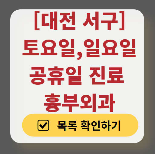 대전 서구 주말 토요일 일요일 흉부외과 진료 병원 목록 ❘ 공휴일 진료 영업 병원 리스트 찾기
