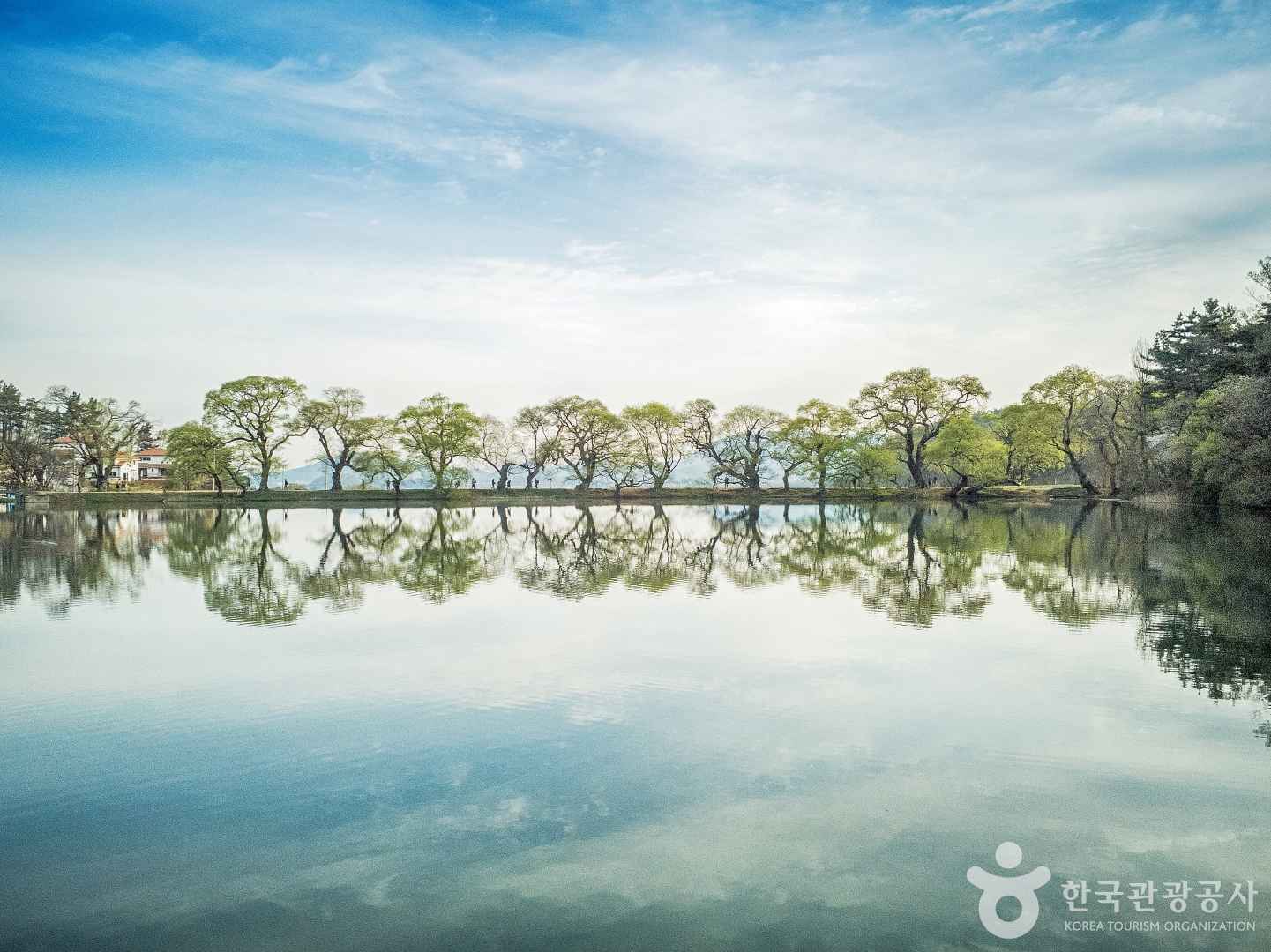 경산 반곡지