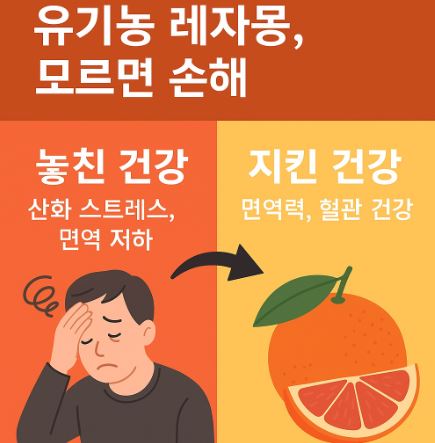 유기농레자몽