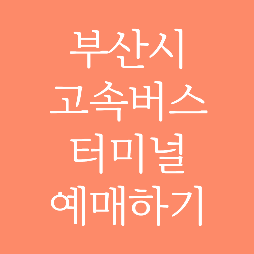 부산시 실시간 고속버스터미널 시간표 조회 및 예매하기