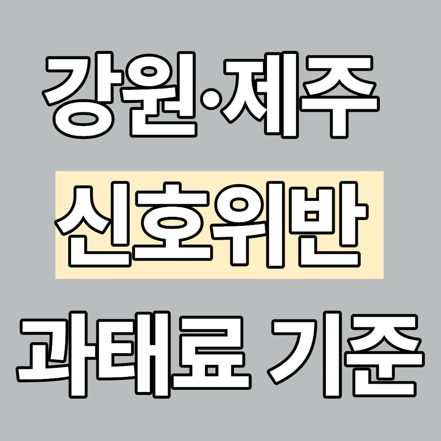 강원·제주 신호위반 과태료 기준|관광도로·교차로 구간 단속
