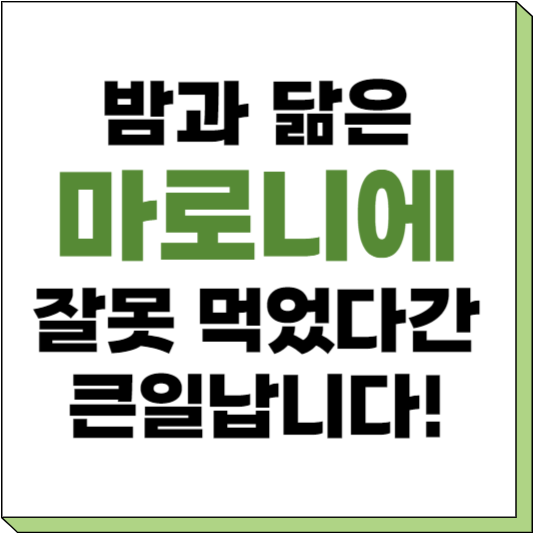 마로니에 열매