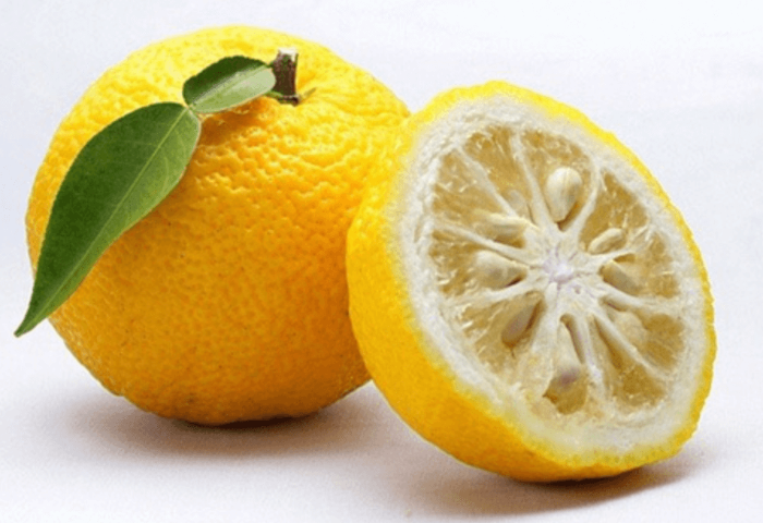 유자의 다양한 건강 효과