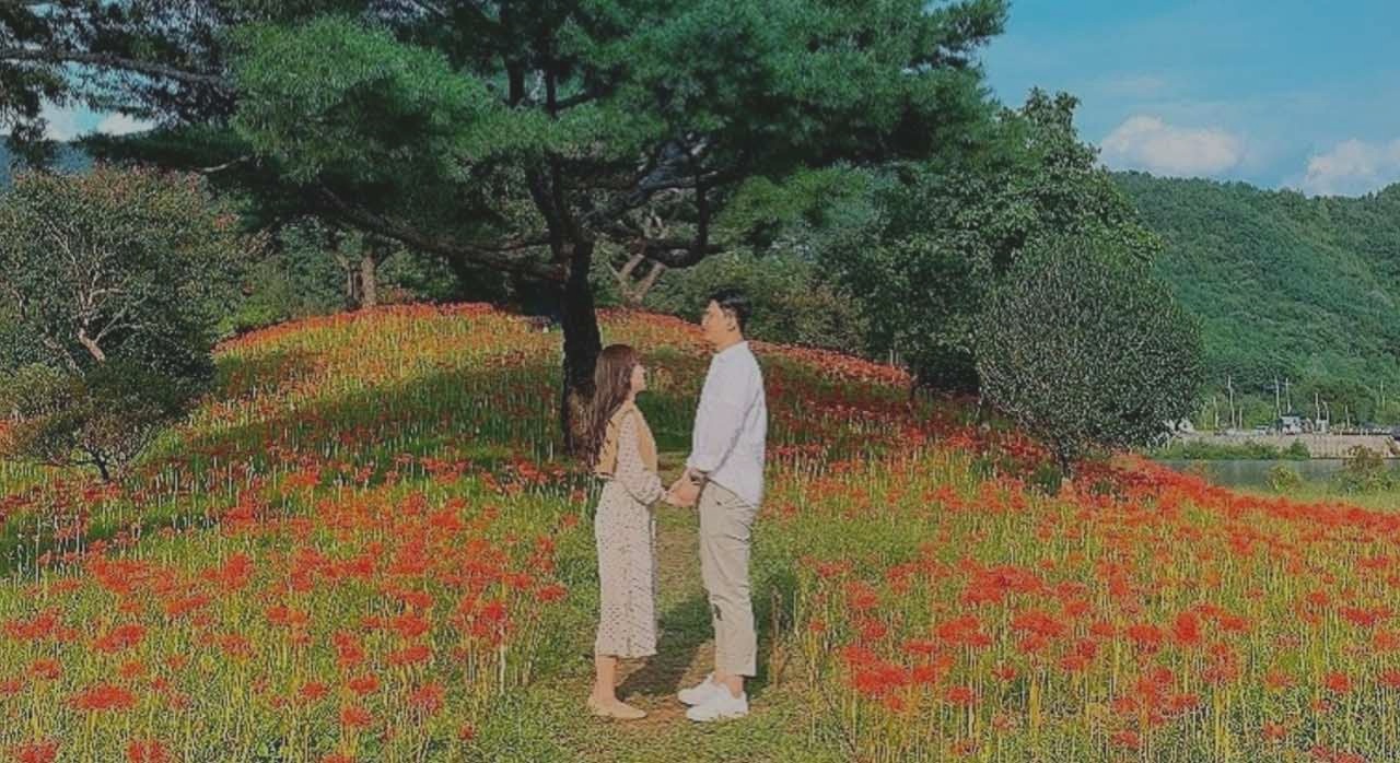 초가을에는 상사화 명소로 유명한 지리산 치즈랜드. [ⓒ네이버플레이스 지리산치즈랜드]