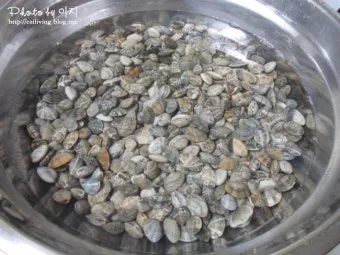 바지락 해감시키는법 깨끗하게 해감하는 방법_13