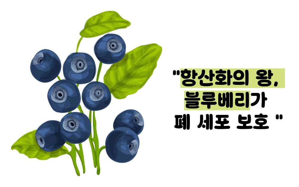 폐에 좋은 음식 10