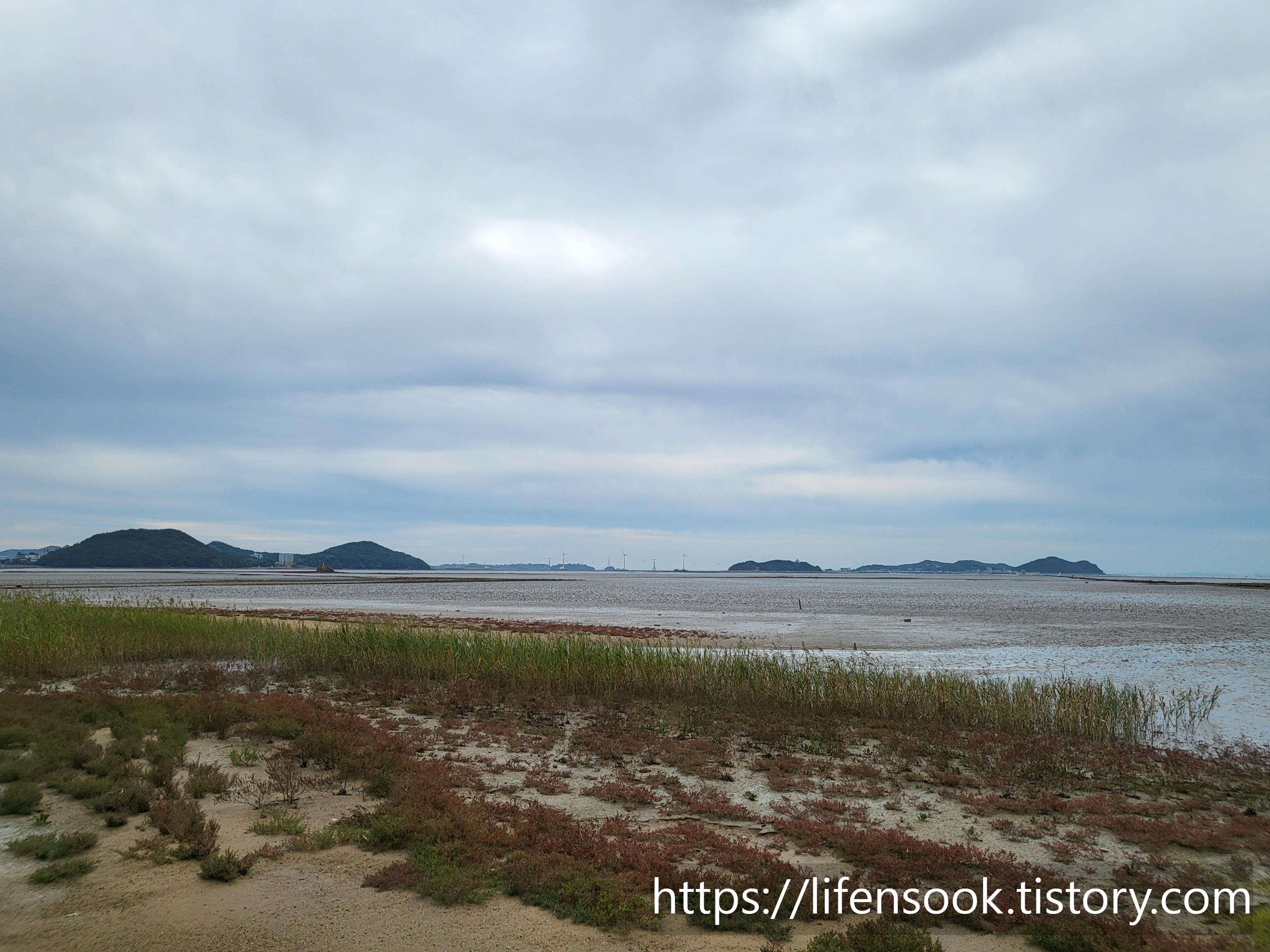 대부해솔길 6코스 해안길 갯벌