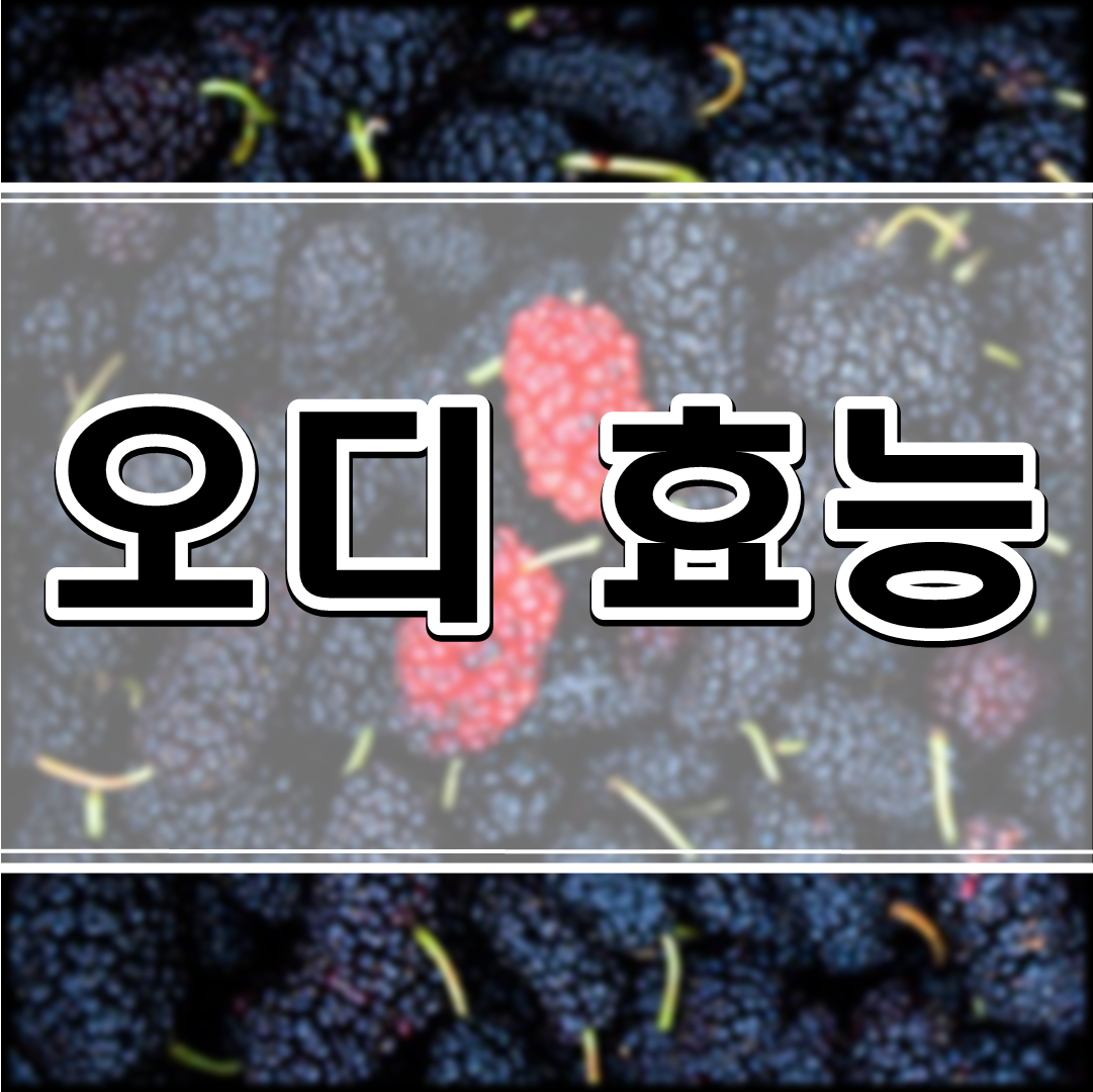 오디 효능