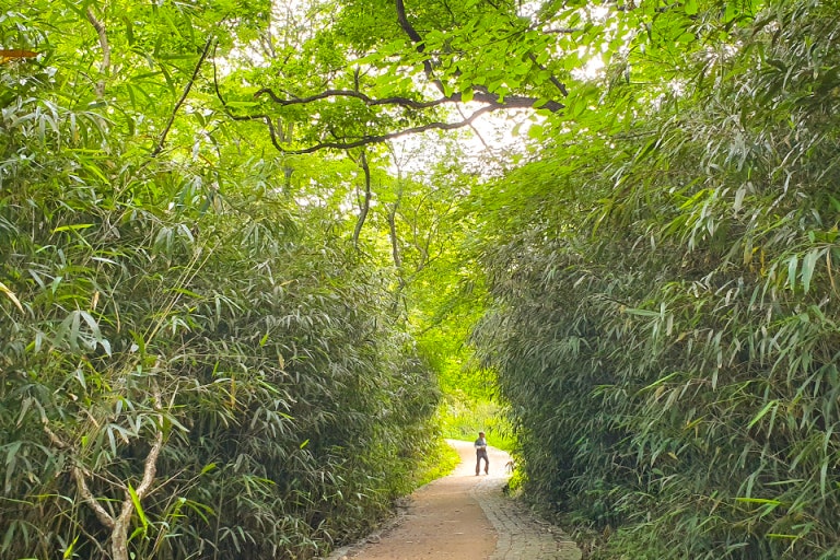 구례트래킹코스