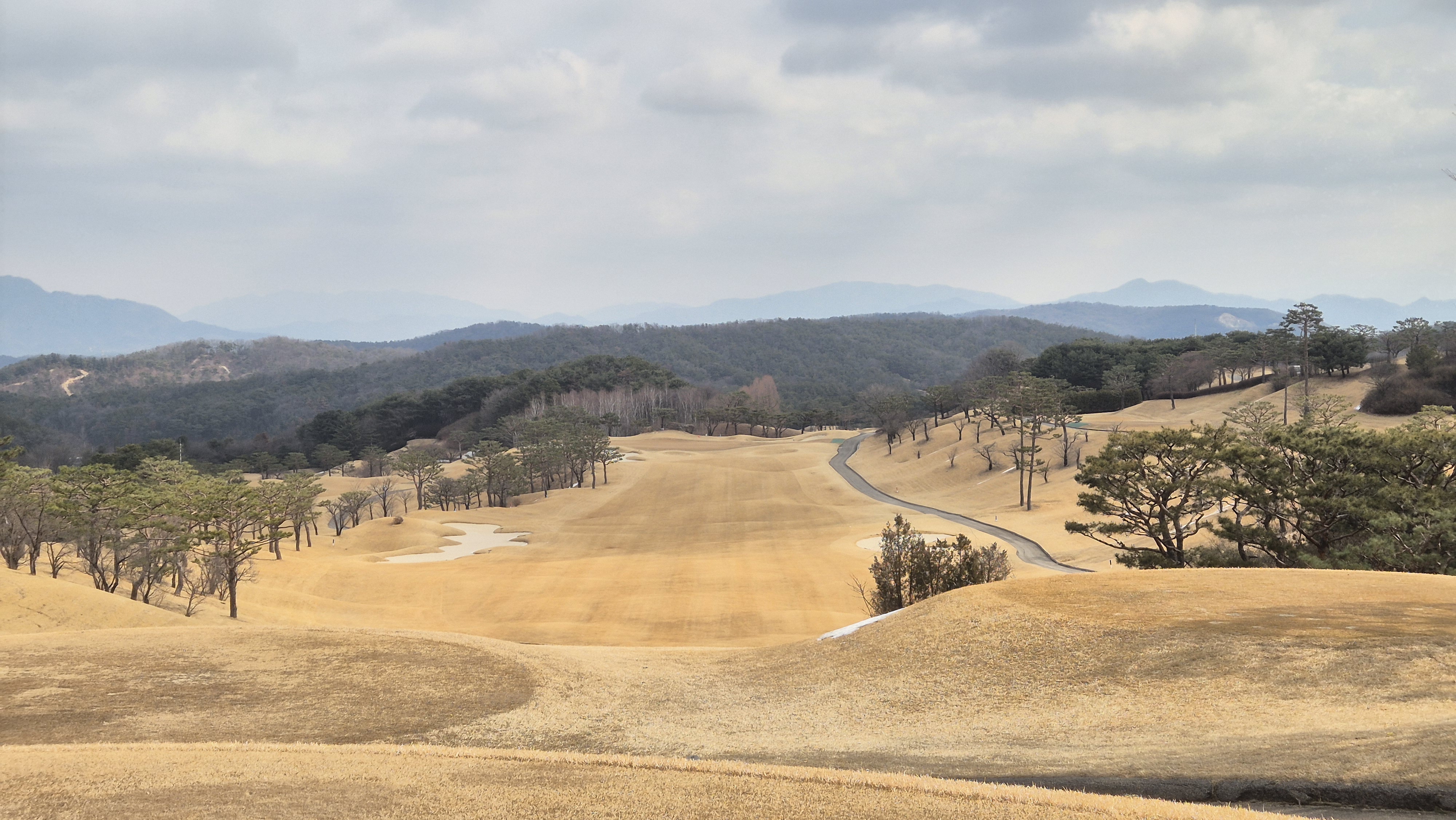 아도니스cc 동-서 코스 사진 및 공략 정보