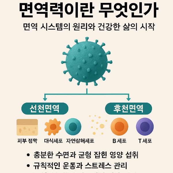 면역력이란 무엇인가? 면역 시스템의 원리와 건강한 삶의 시작