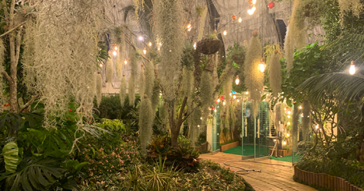 고성 공룡엑스포