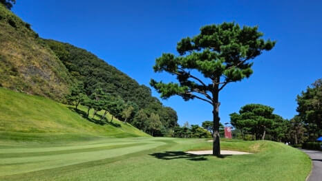 골프장 경험담 파주 서원밸리cc 고향의 정(情)이 흐르는 명문 골프장