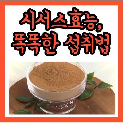 시서스 효능&#44; 똑똑하게 복용하는 방법