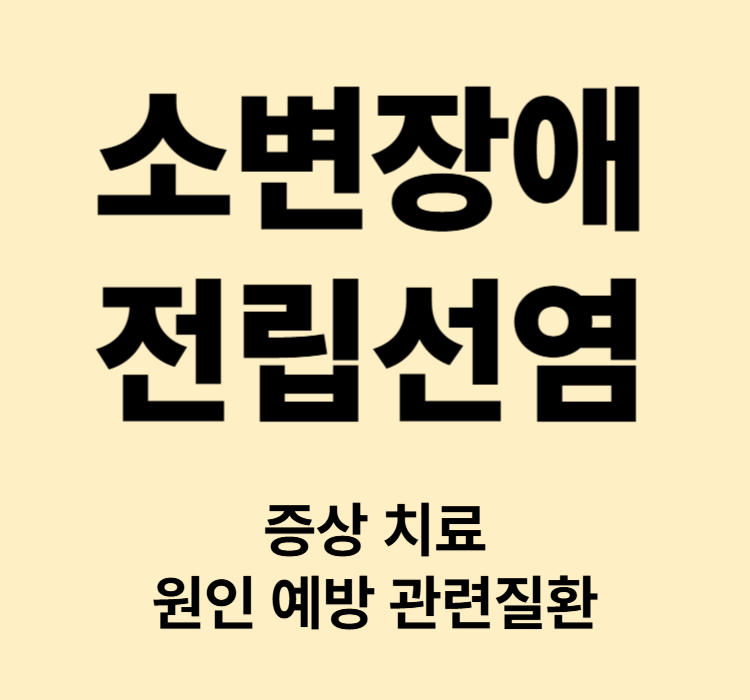 발기부전 발기풀림 소변장애 전립선염 대표증상 치료방법