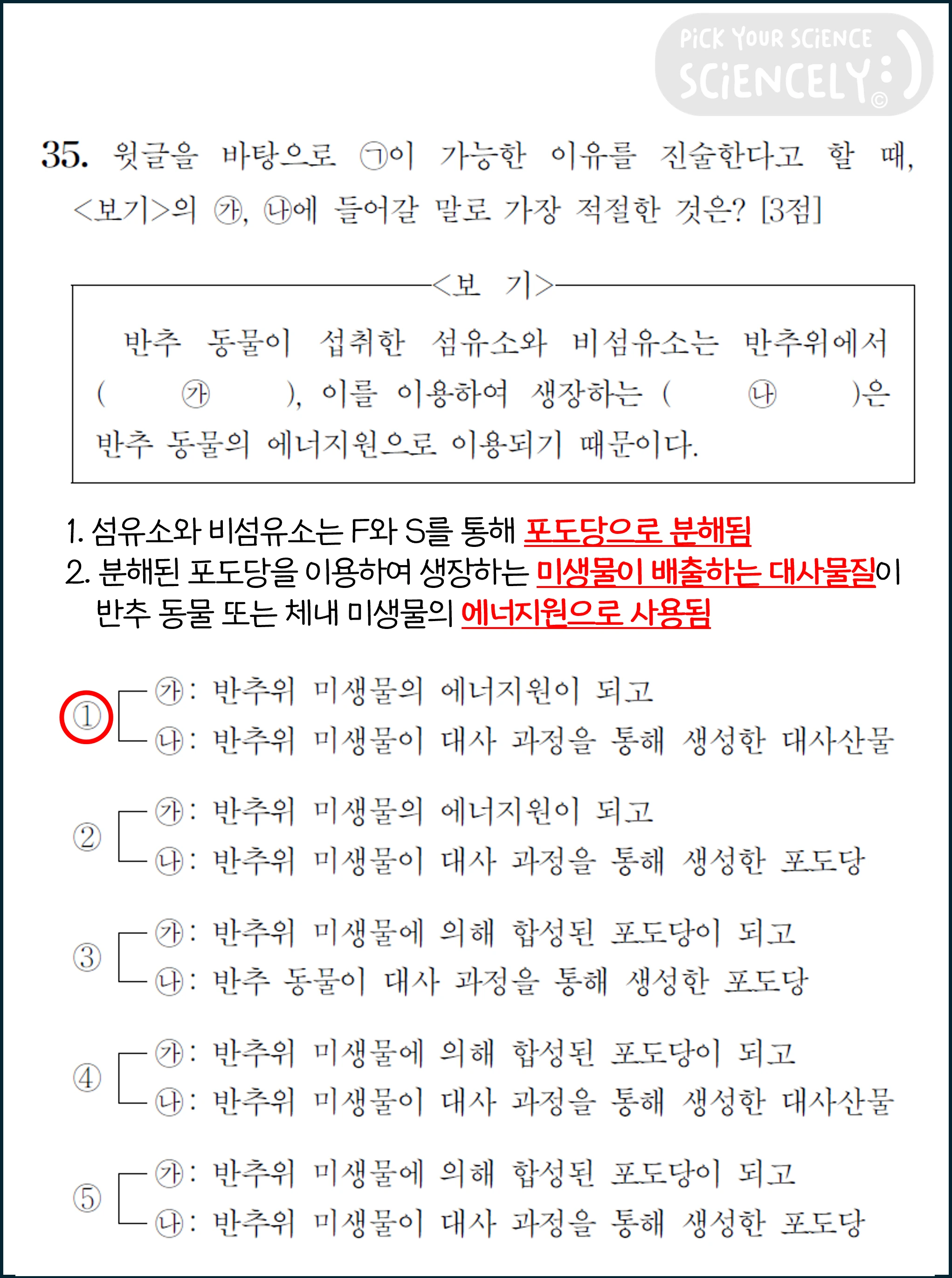 국어 독서 과학기술, 국어 비문학 과학기술, 17학년도 수능 Q33-36, 반추동물의 탄수화물 분해, 35번 문제 풀이