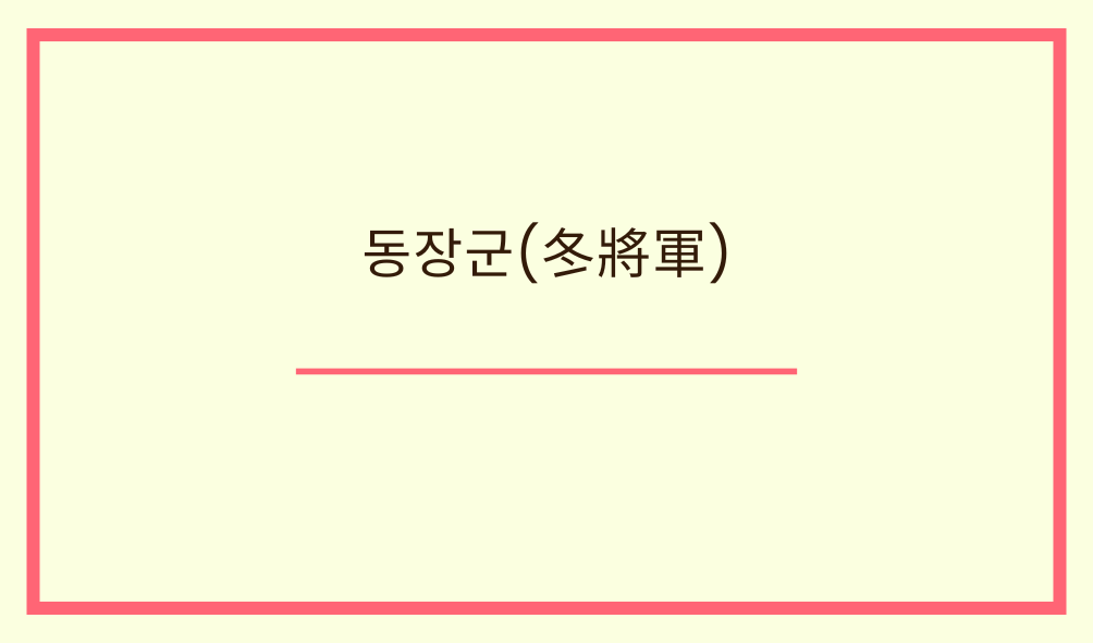 '동장군(冬將軍)'