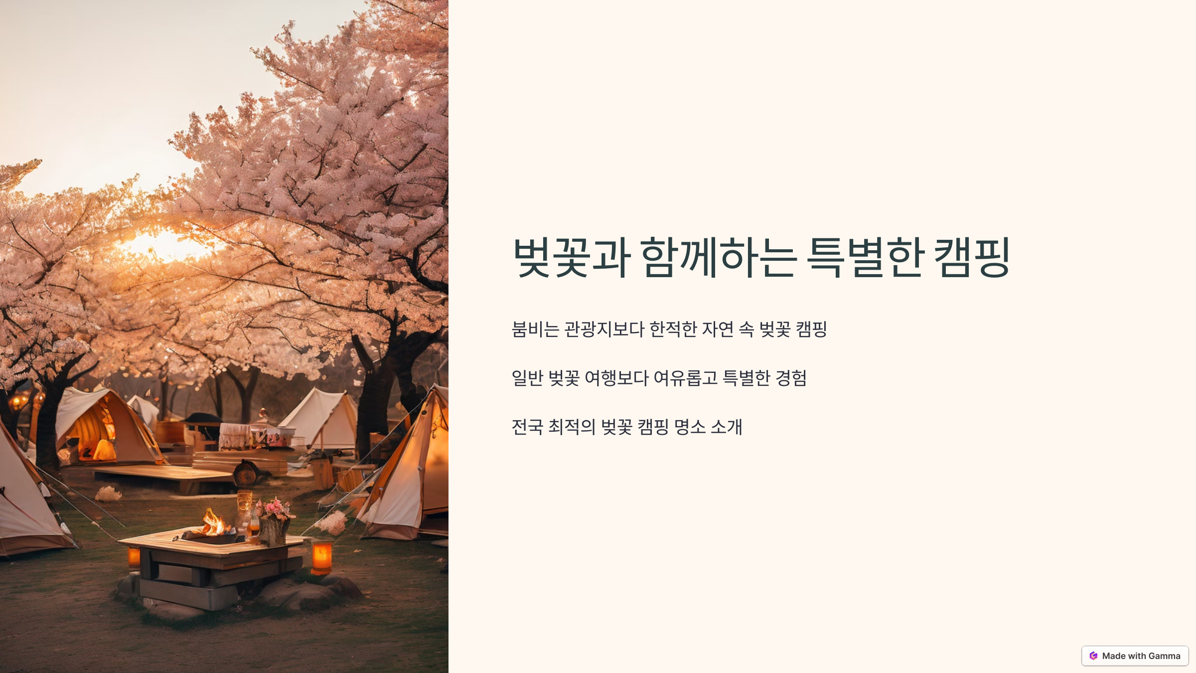 국내 캠핑러를위한 캠핑벚꽃스팟