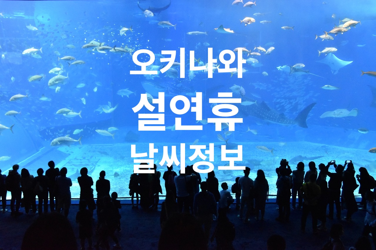 웨더뉴스 설연휴 오키나와 날씨 정보