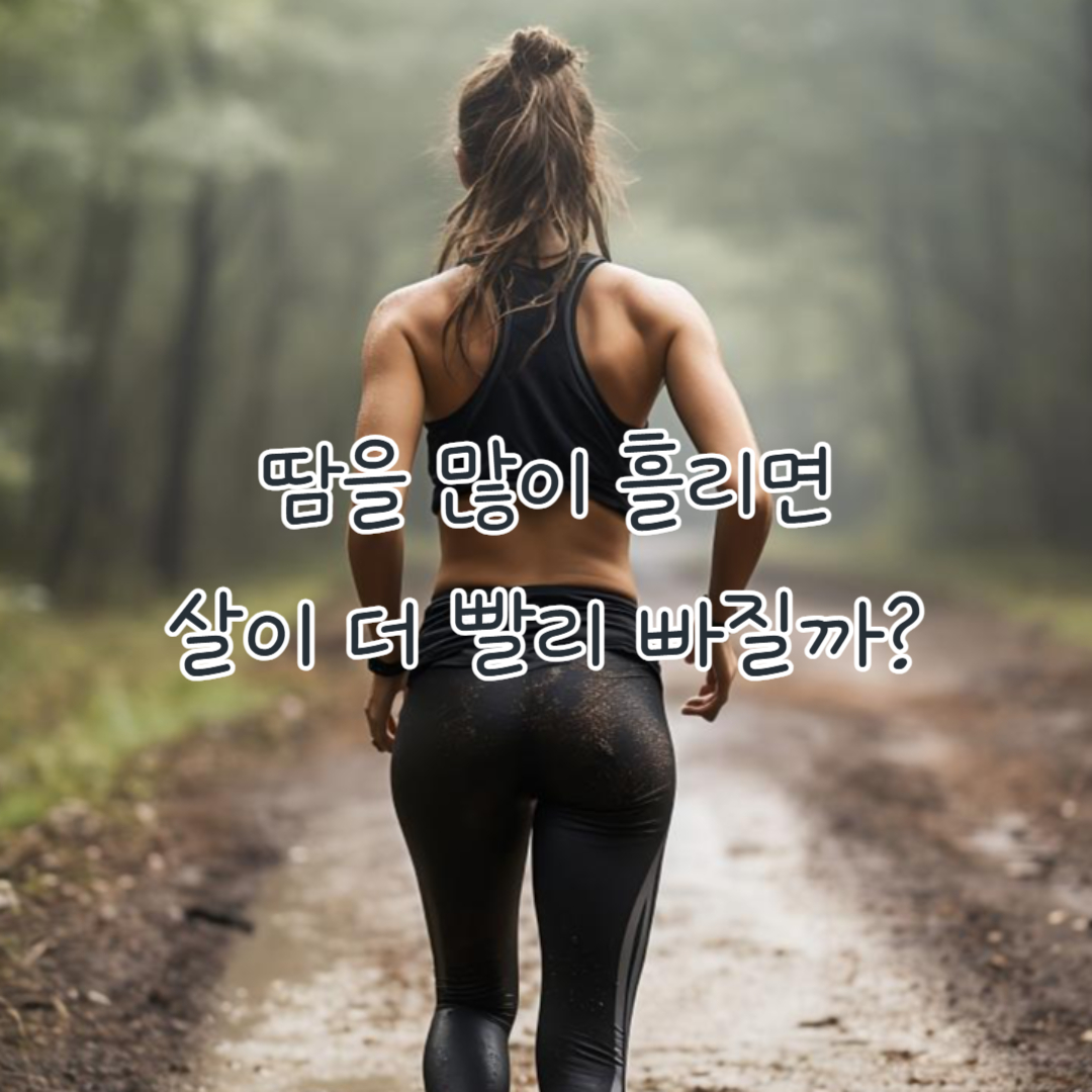 땀을 많이 흘리면 살이 더 빨리 빠질까?