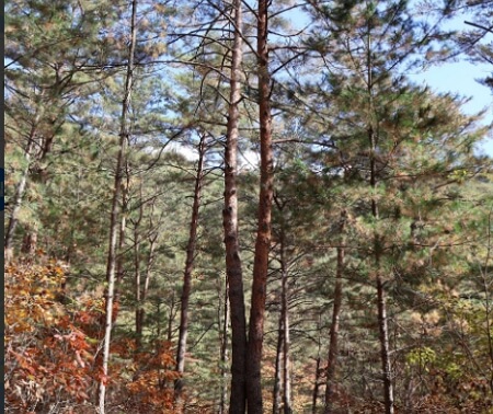 국내 온천 호텔 추천 BEST 3