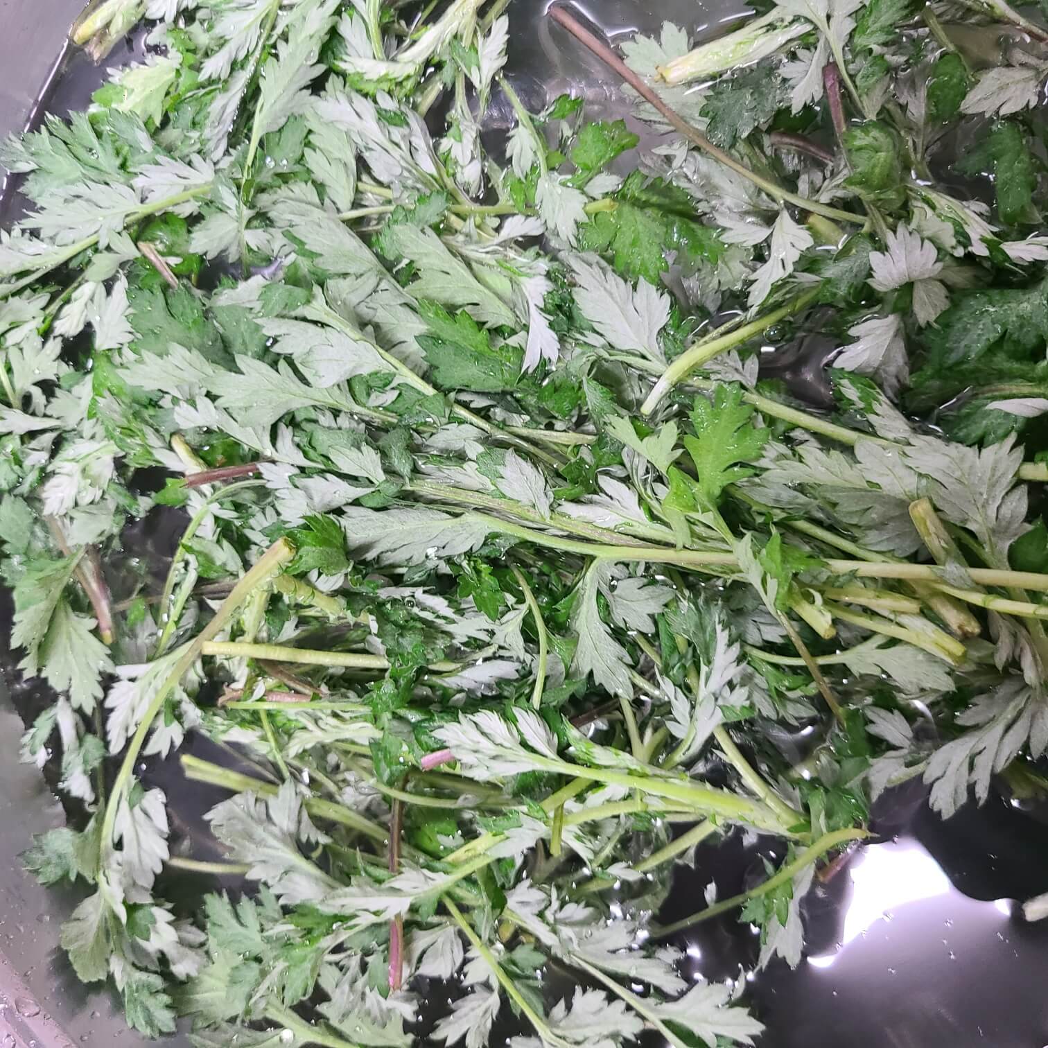 #요즘제철과일,#요즘제철음식,#요즘 제철 회,#요즘 제철음식,#요즘 제철 해산물,#요즘 제철과일,#요즘 제철 수산물,#요즘 제철회,#요즘 제철 생선,#요즘 제철 반찬,#요즘 제철인 유채나물 무침 대용량 반찬,#요즘 제철인 노각 꼬돌 꼬돌 무침,#요즘 제철인 유채나물 조기조림,#요즘 제철인 콜라비무침,#요즘 제철 시금치된장국,#요즘 제철인 꼬막으로 쫄깃하게,#요즘 제철인 방풍나물 무침,#요즘제철요리 맛있는 굴전 만드는 법,#요즘제철생선