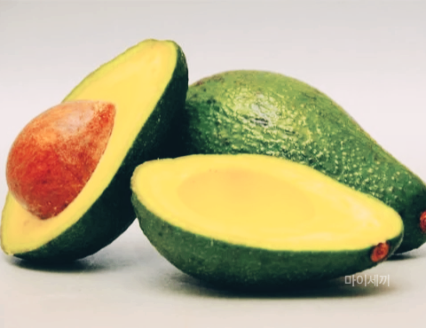 아보카도 효능