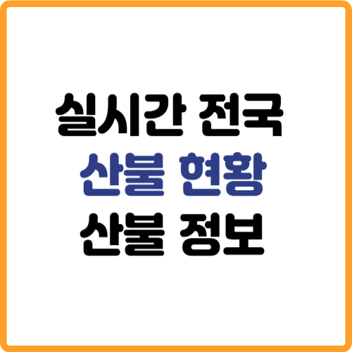 실시간 전국 산불현황 산불정보 바로보기 관련 사진