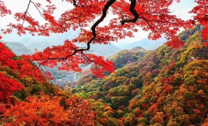 2025 두륜산 단풍 절정 시기 공개! 가을 인기 등산코스 best 3