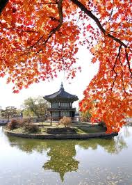 부여 가을 단풍길