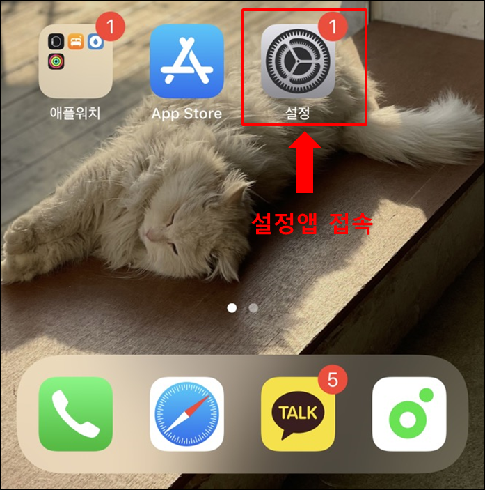 아이폰초기화