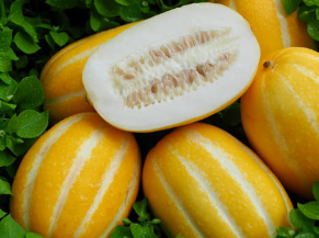 참외 효능 순치기 방법 모종 심는 시기 참외 칼로리 보관법 / 박나래 참외 샐러드