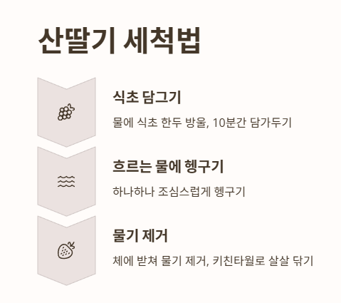 산딸기 세척법