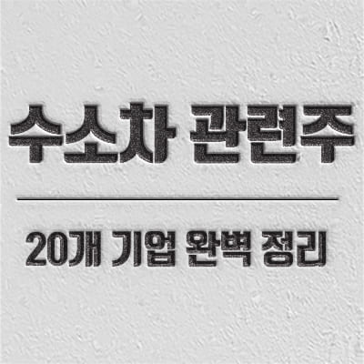 수소차 시장 전망 및 관련주 20개 소개