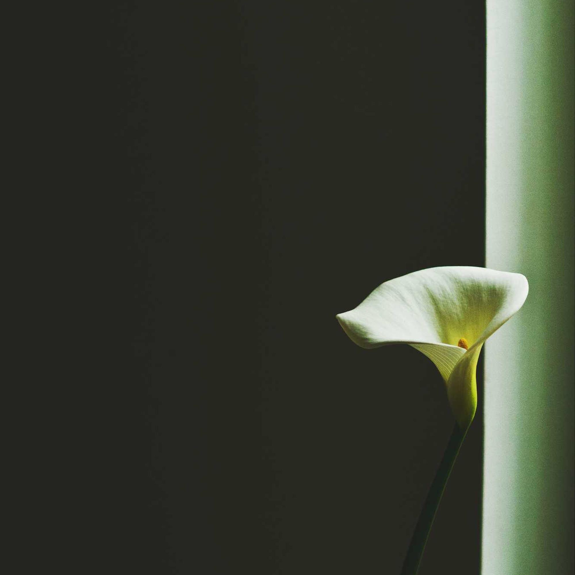 토스 환전 수수료-수수료